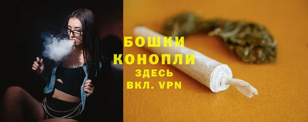 крисы Бронницы