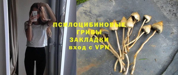 хмурый Вязьма