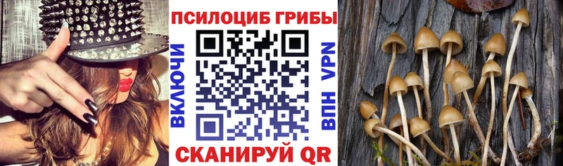Псилоцибиновые грибы MAGIC MUSHROOMS  Дивногорск 